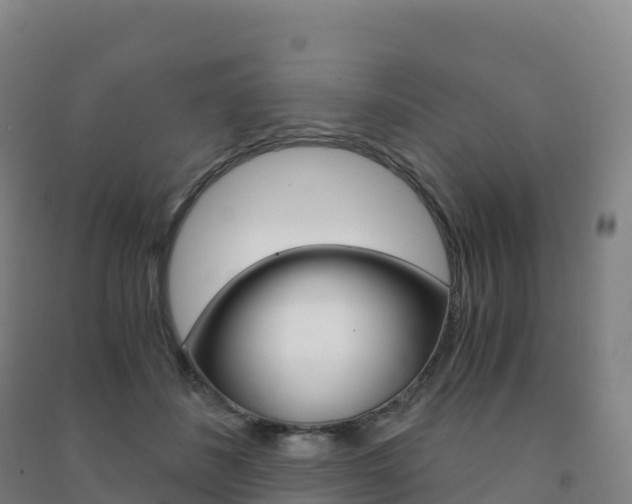X0000091480508200708161151