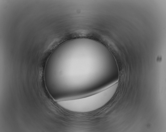 X0000091480509200708161151