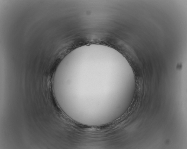 X0000091480511200708161151