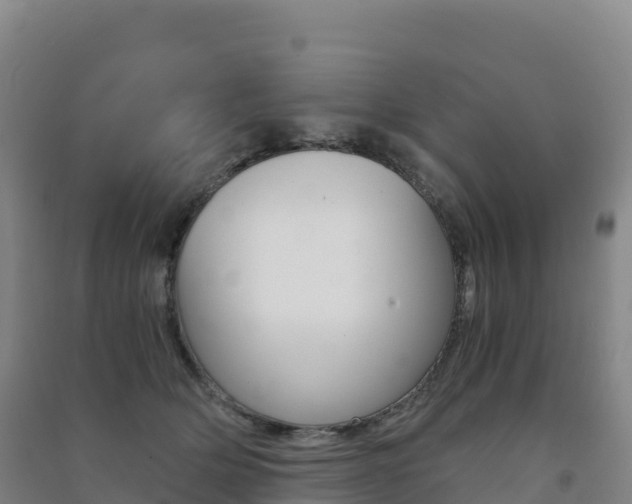 X0000091480514200708161151