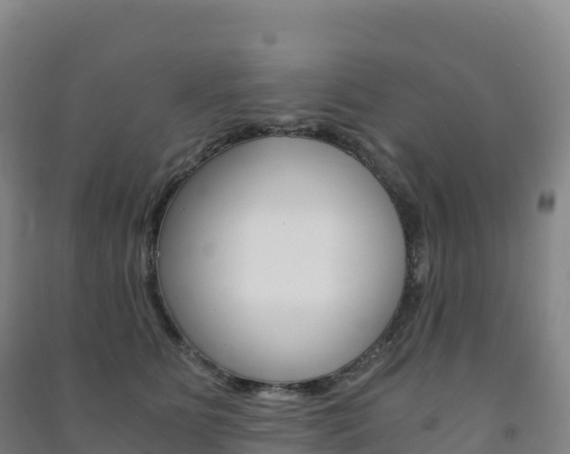 X0000091480515200708161151