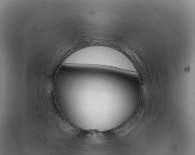 X0000091480517200708161151