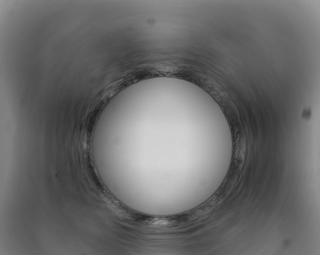 X0000091480518200708161151