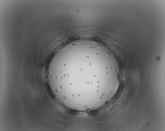 X0000091480519200708161151