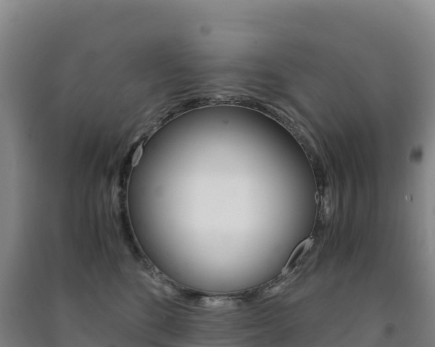 X0000091480520200708161151