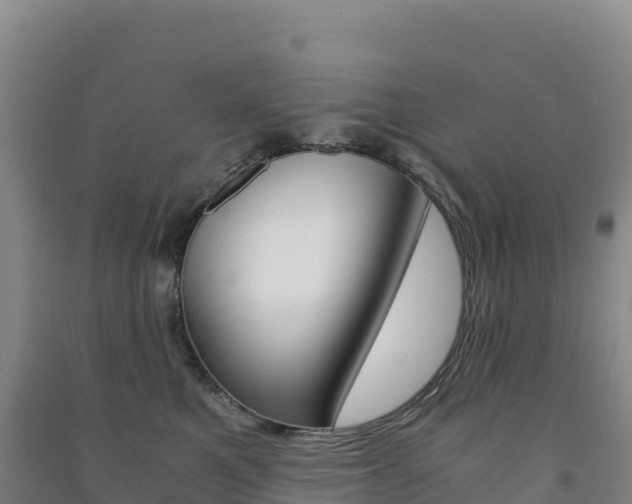 X0000091480521200708161151