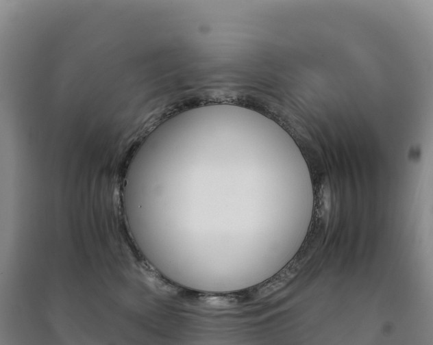 X0000091480522200708161151