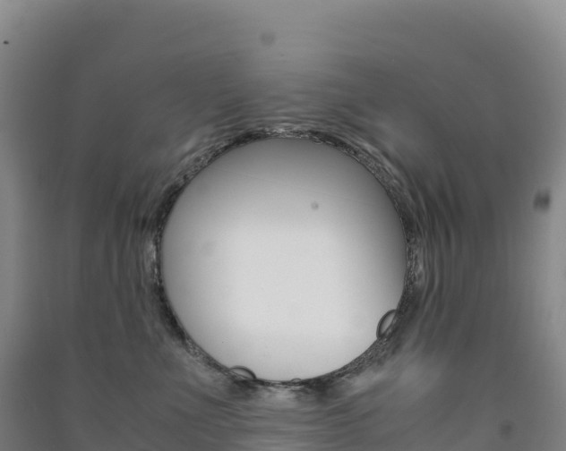 X0000091480523200708161151
