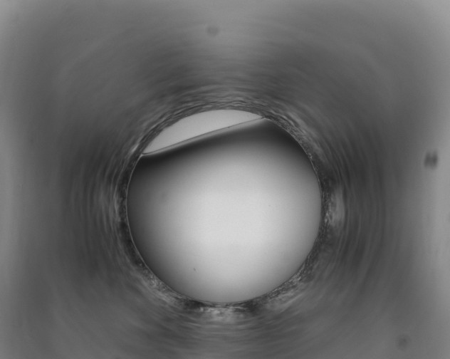 X0000091480524200708161151
