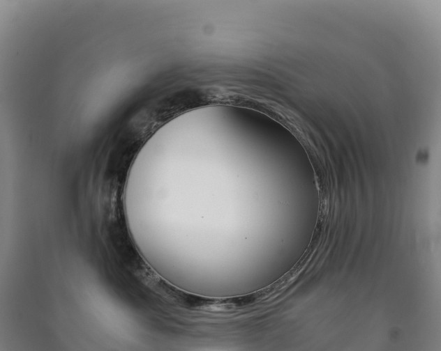 X0000091480525200708161151