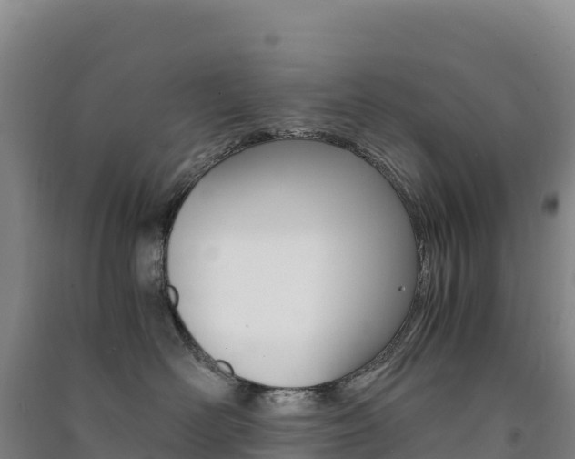 X0000091480526200708161151