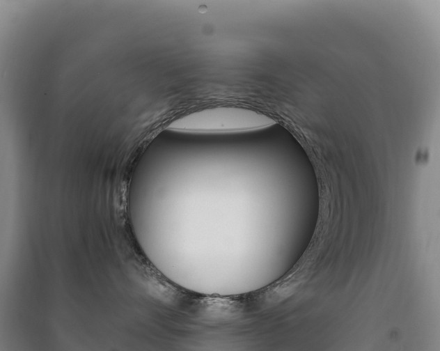 X0000091480528200708161151