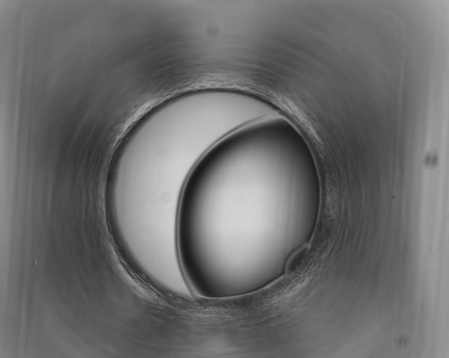 X0000091480530200708161150