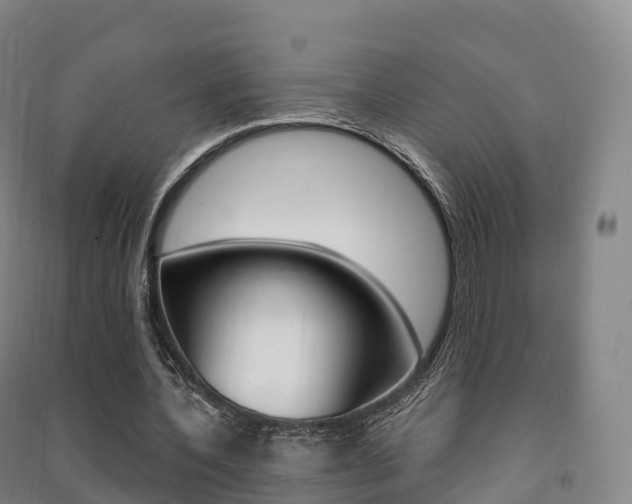X0000091480532200708161150