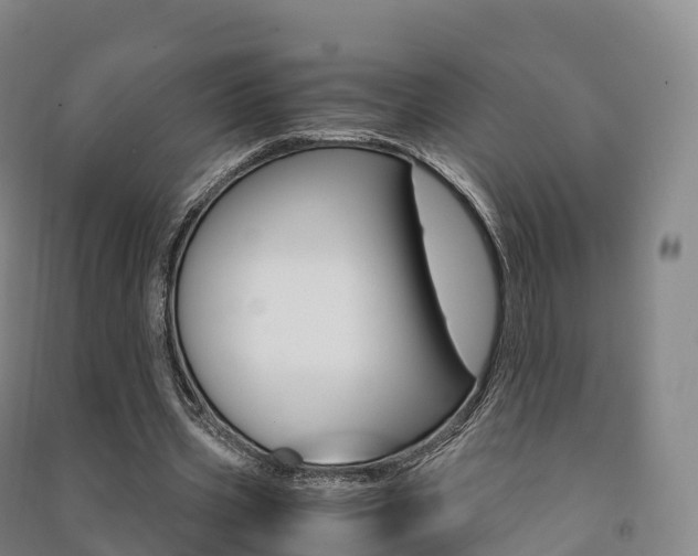 X0000091480533200708161150