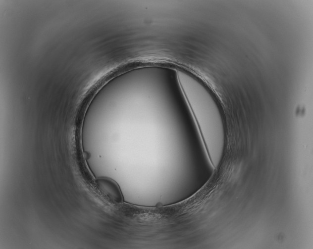 X0000091480535200708161150