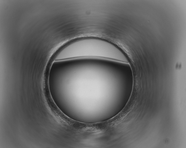 X0000091480536200708161150