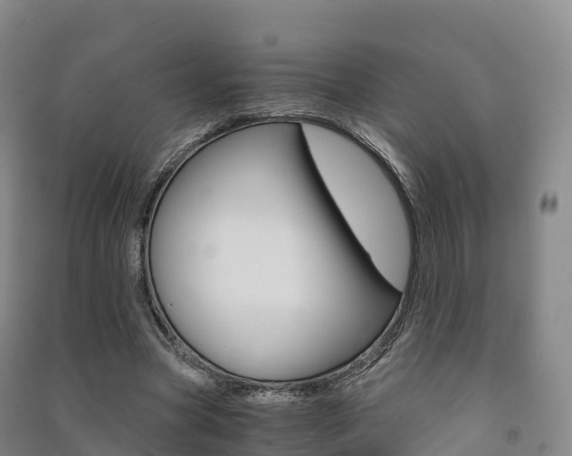 X0000091480537200708161150