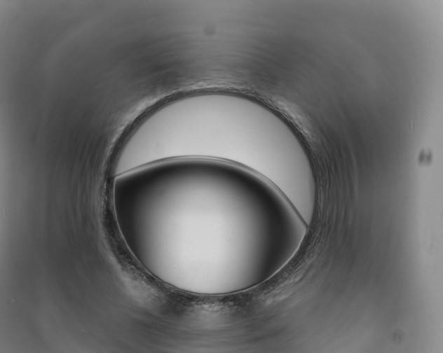 X0000091480540200708161150