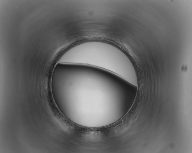 X0000091480543200708161150