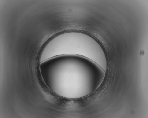 X0000091480544200708161150