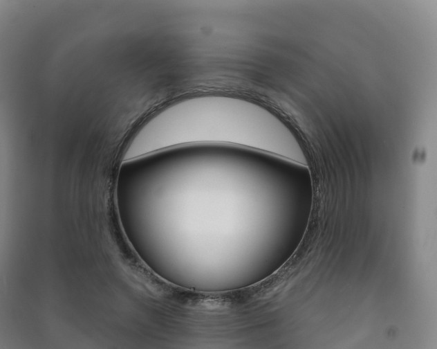 X0000091480546200708161150
