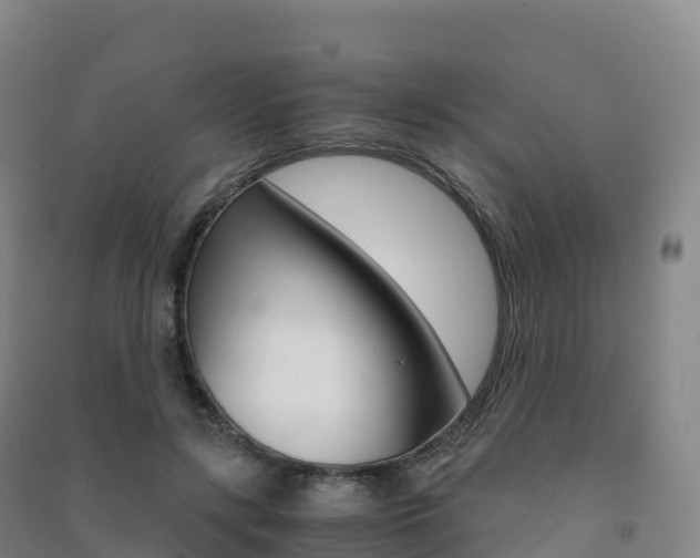 X0000091480547200708161150