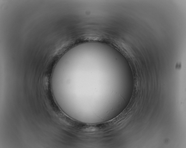 X0000091480551200708161150
