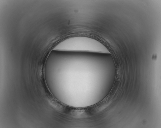 X0000091480554200708161150