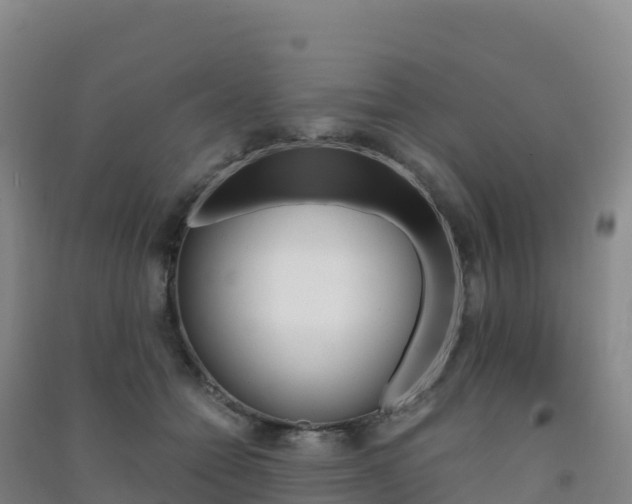 X0000091480558200708161150