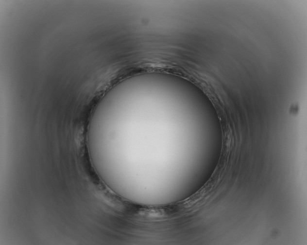 X0000091480559200708161150