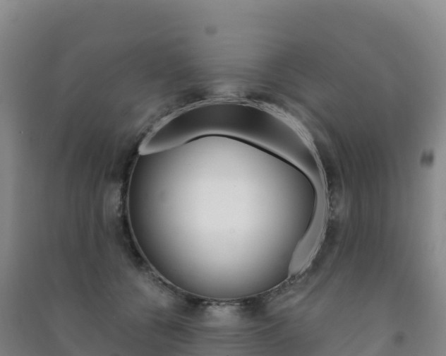 X0000091480560200708161151