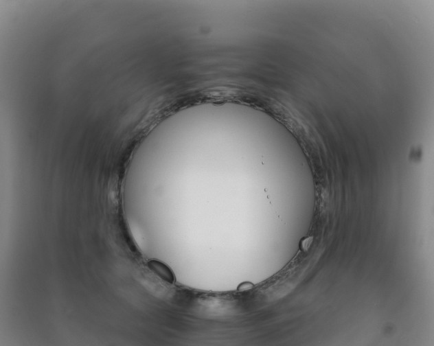X0000091480561200708161151