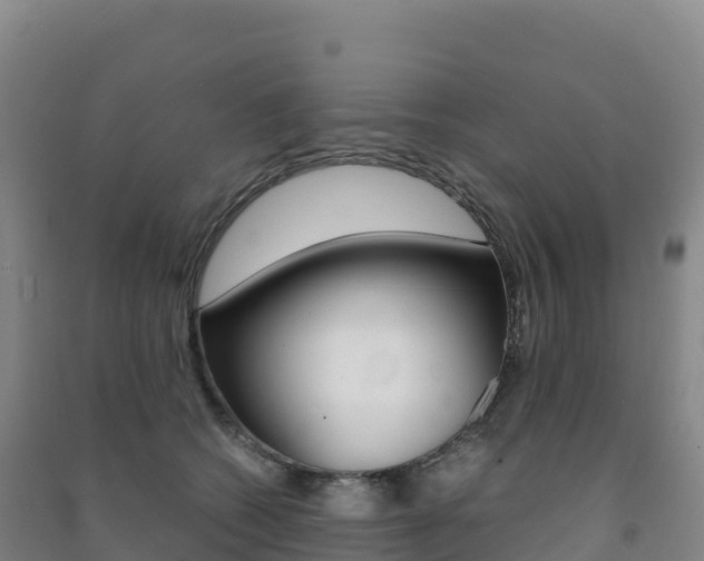 X0000091480562200708161151