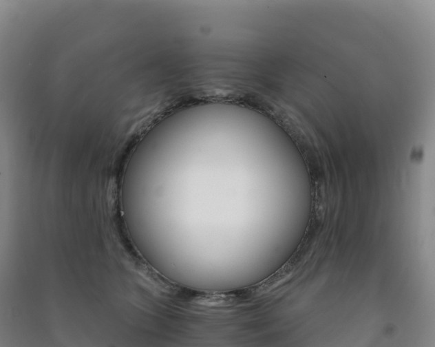 X0000091480563200708161151