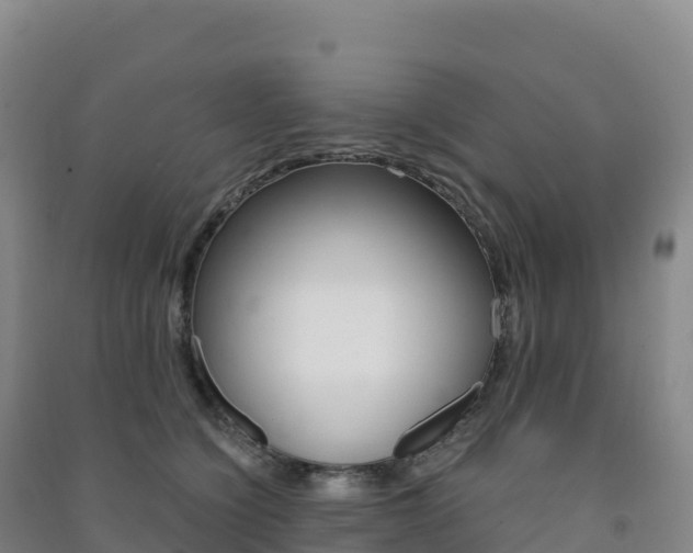 X0000091480564200708161151