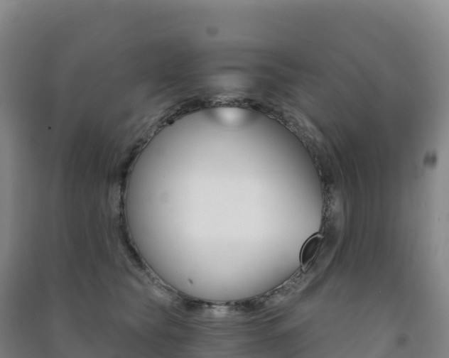 X0000091480565200708161151