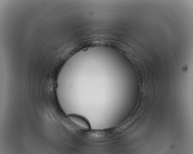 X0000091480567200708161151