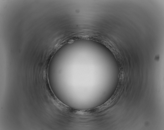 X0000091480568200708161151