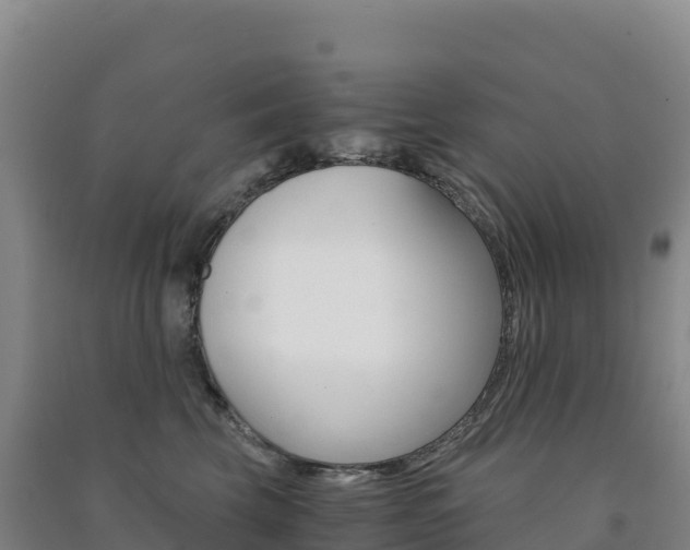 X0000091480569200708161151