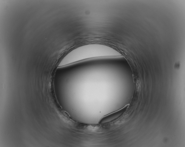 X0000091480570200708161151
