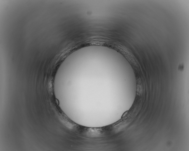 X0000091480573200708161151