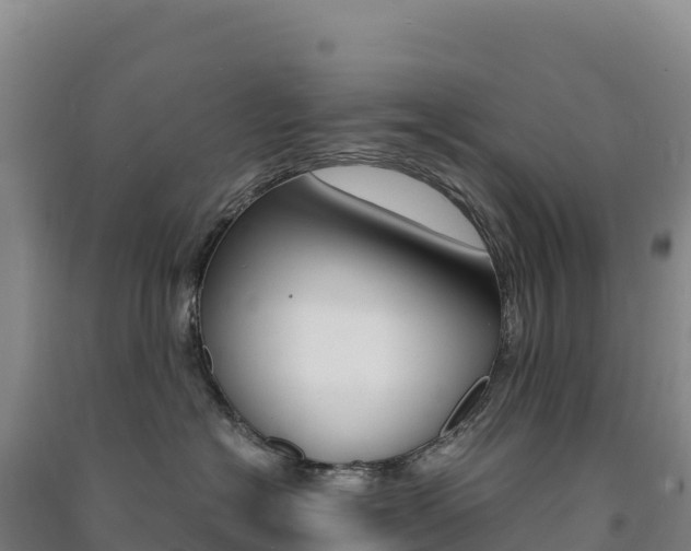 X0000091480574200708161151