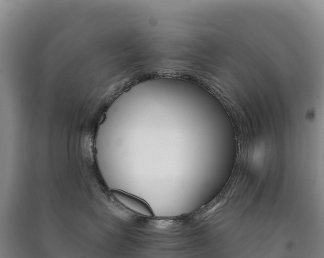 X0000091480575200708161151