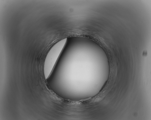 X0000091480576200708161151