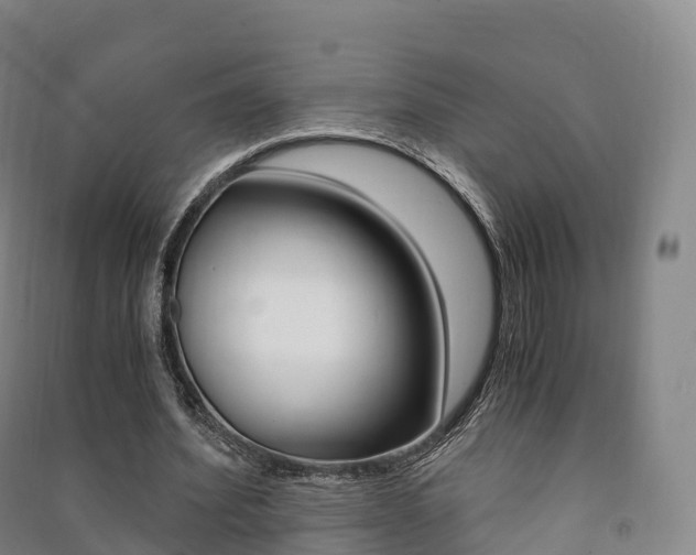 X0000091480580200708161150