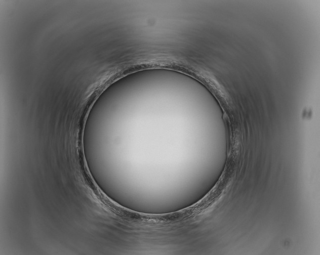 X0000091480585200708161150