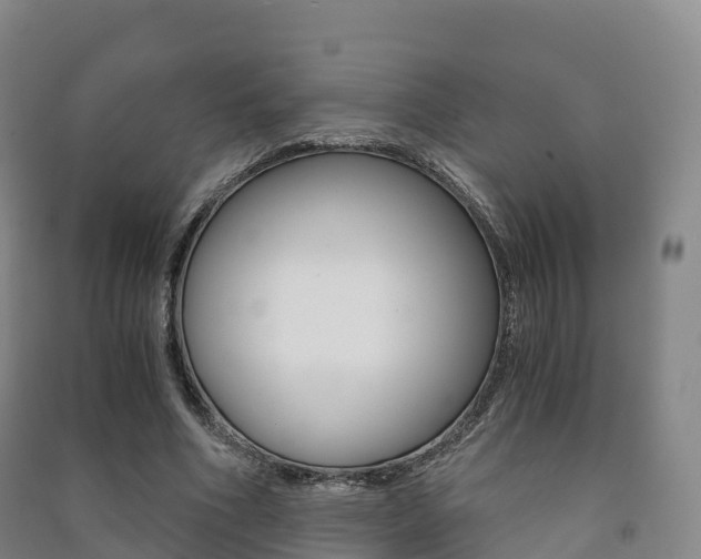 X0000091480586200708161150