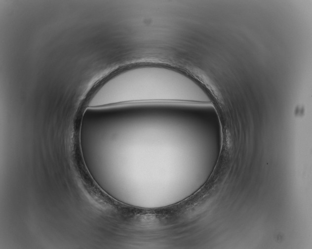 X0000091480588200708161150