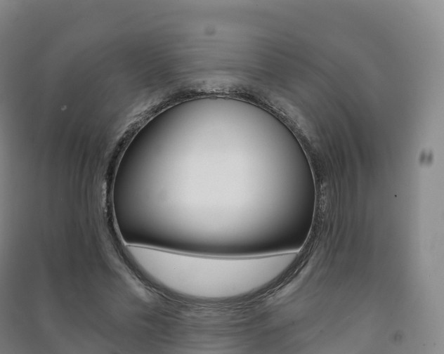 X0000091480589200708161150